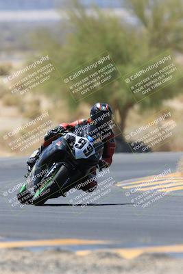 media/May-14-2023-SoCal Trackdays (Sun) [[024eb53b40]]/Turn 5 Tree of Life (1125am)/